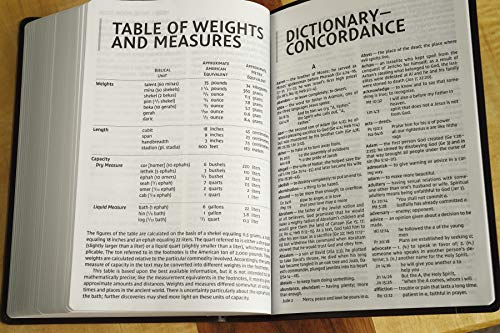 NIV, Super Giant Print Reference Bible, Leathersoft, Brown, Red Letter, Comfort Print - ADOREbyEller